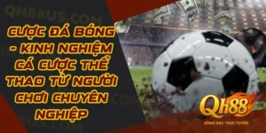 Cược Đá Bóng