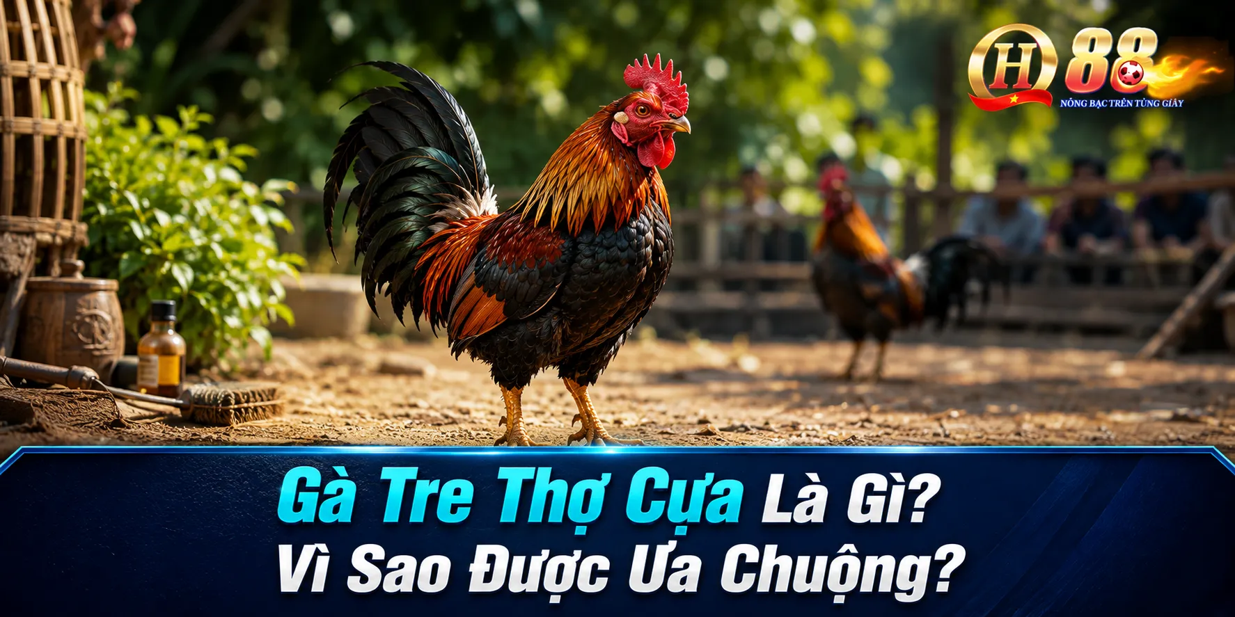 Gà Tre Thợ Cựa Là Gì? Vì Sao Được Ưa Chuộng?